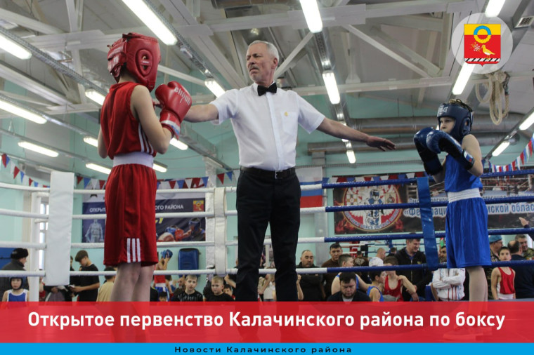 Открытое первенство Калачинского района по боксу. Открытое первенство Калачинского района по боксу.